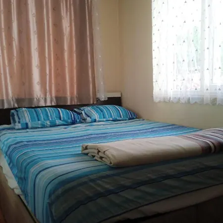 Mourat Homestay *
