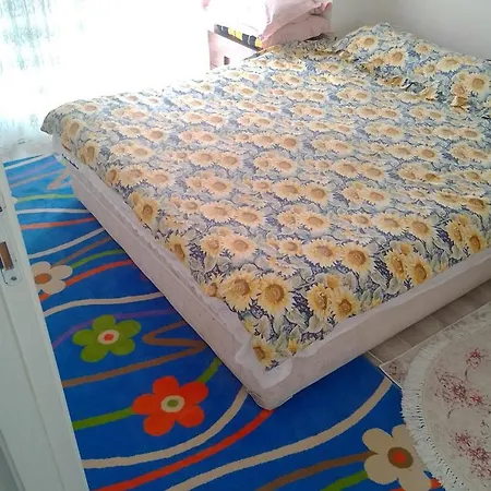 Mourat Homestay